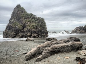 West Coast Highway South Island New Zealand