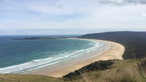 Florence Hill Lookout