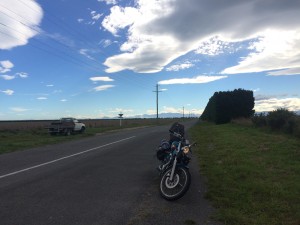 Canterbury Plains