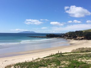 Tawharanui Regional Park