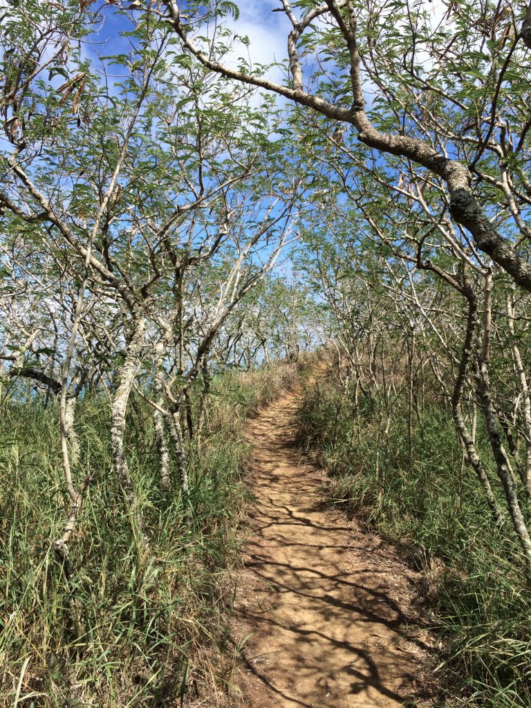 Lanikai Pillbox Hike