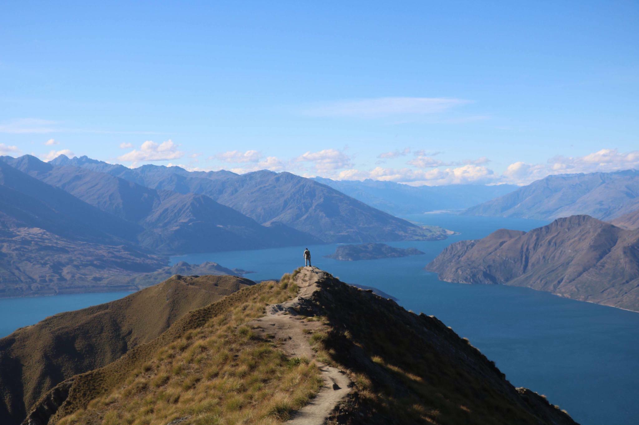 dont be afraid to do things alone new zealand